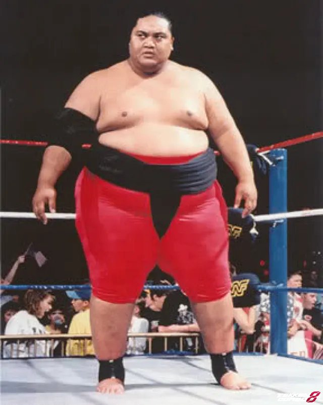 Customization #1999 Yokozuna  for Bob by king_joe